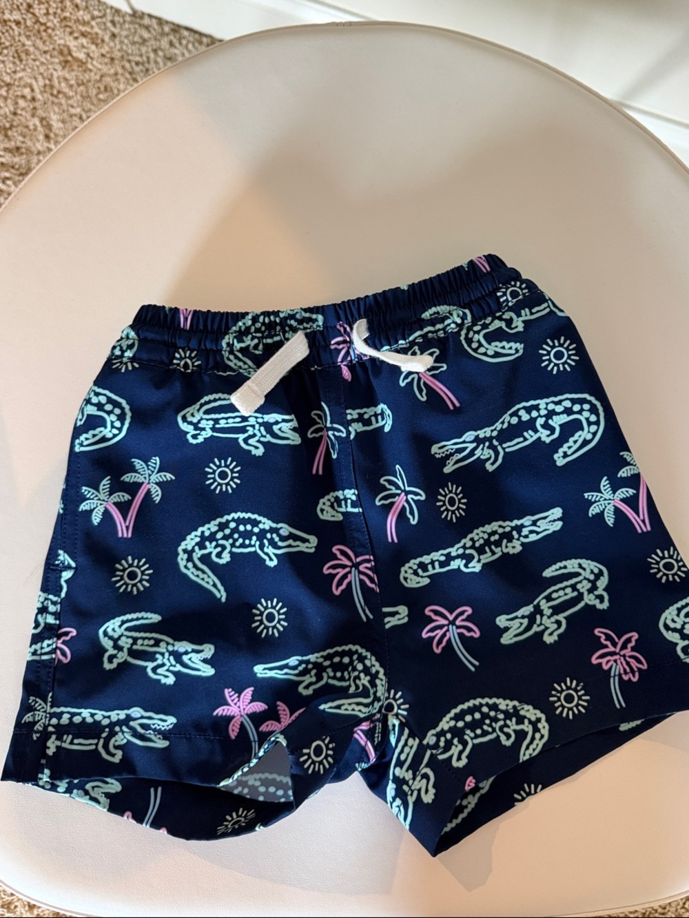 Chubbies Toddler Swim Trunk 3T